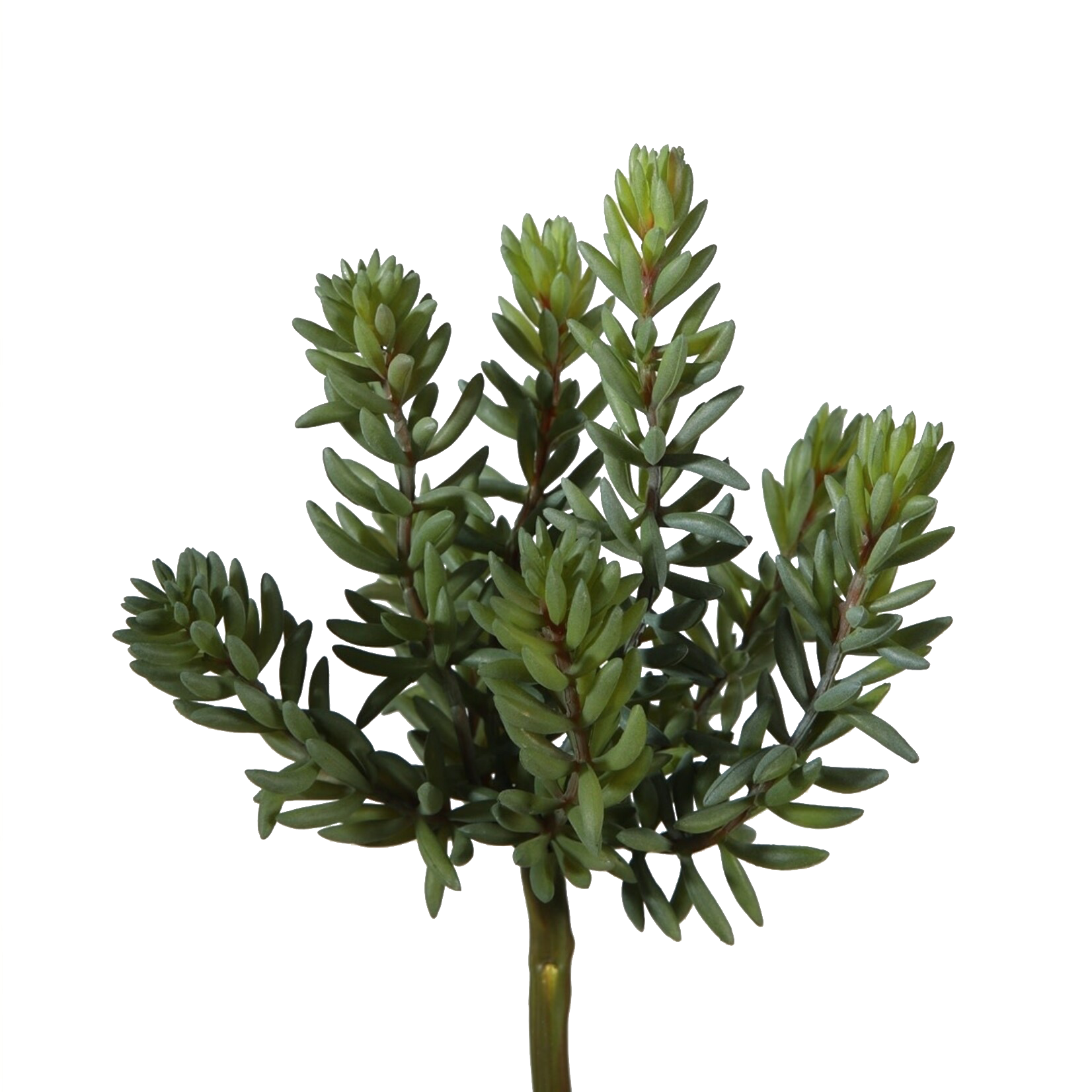 Kunstpflanze Succulente ca. 21cm