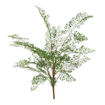 Kunstpflanze Adiantum-Busch 76cm