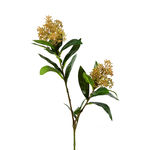 Kunstpflanze Skimmia H72cm