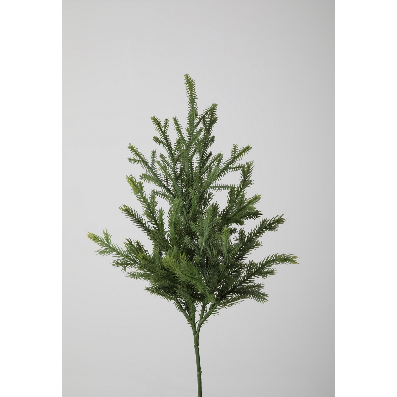 Kunstpflanze Pinienast ca 60cm