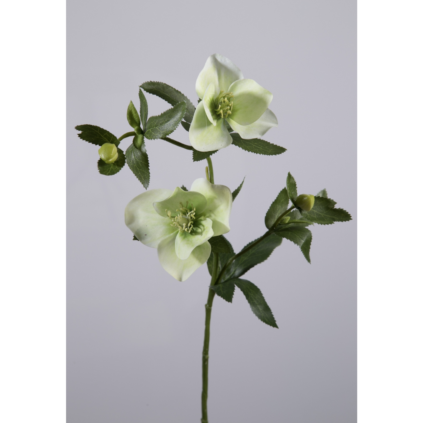 Kunstpflanze Schneerose weiss ca58cm