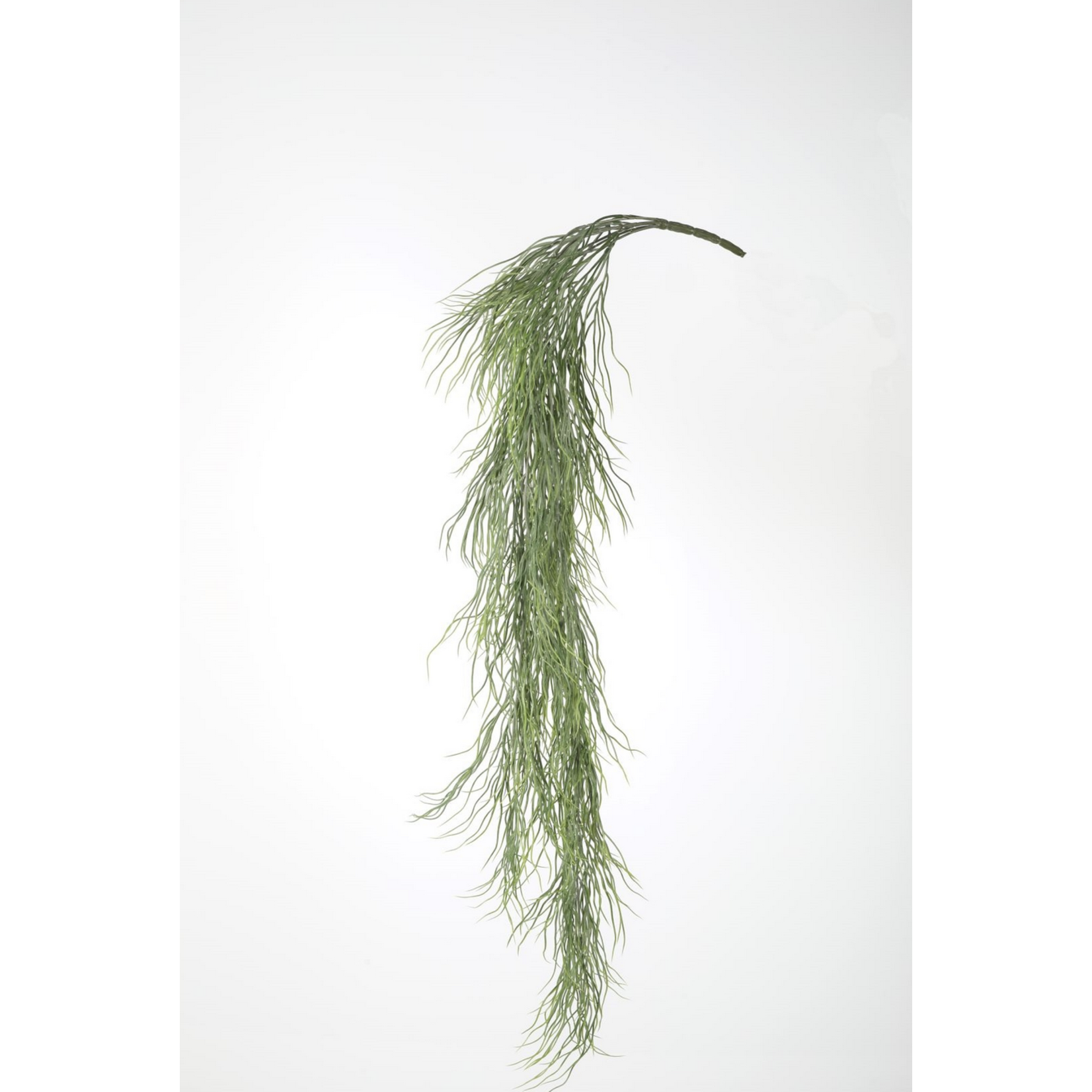 Kunstpflanze hänge Schachtelhalm ca99cm