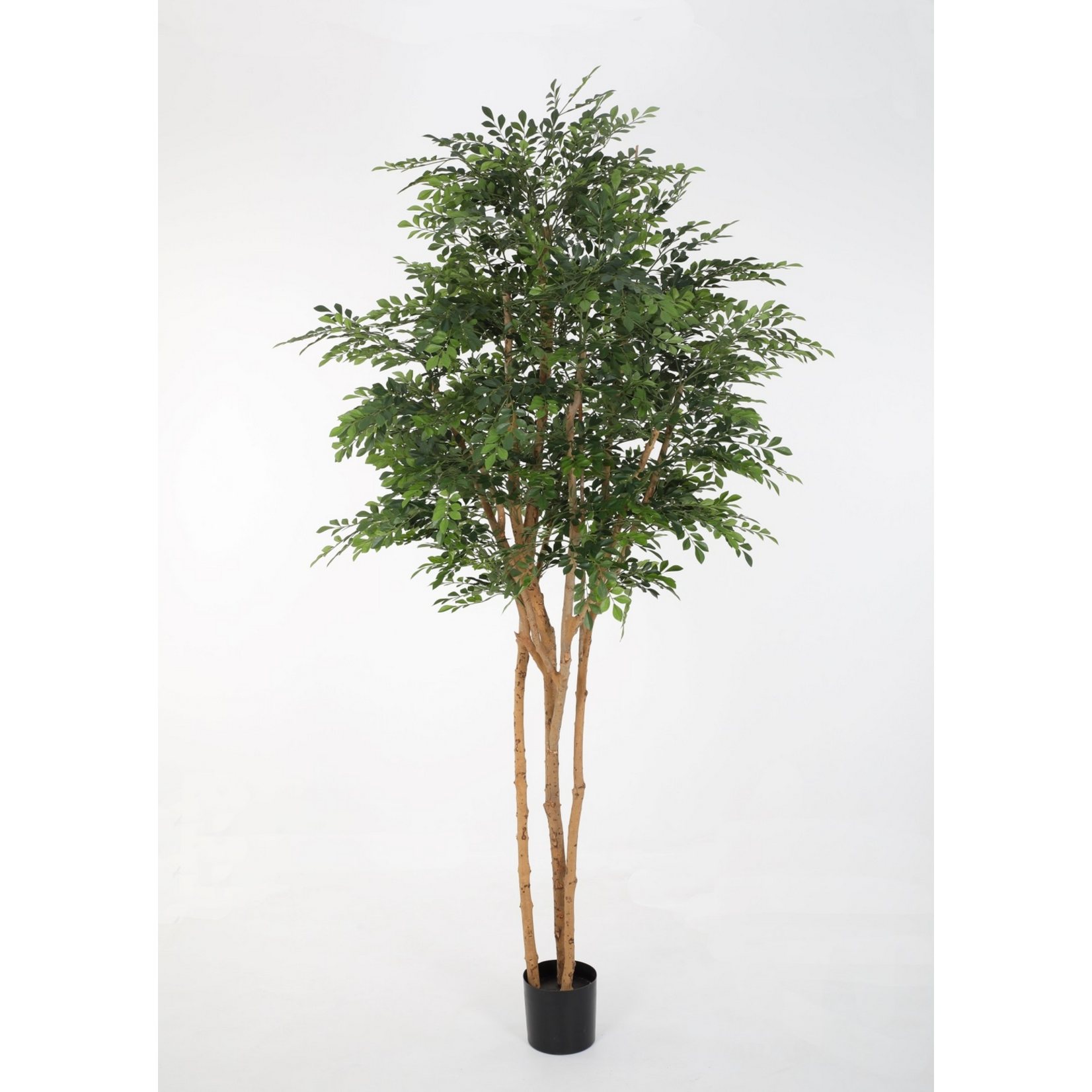 Kunstpflanze Murray Baum 245cm