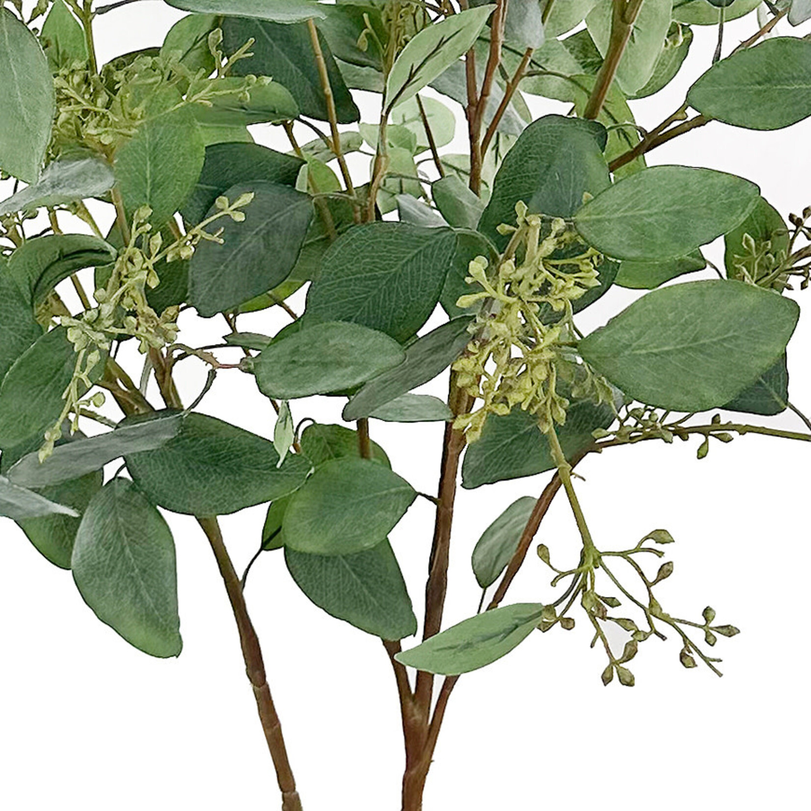 Eucalyptus Zweig, 110cm