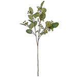 Eucalyptus Zweig, 75cm