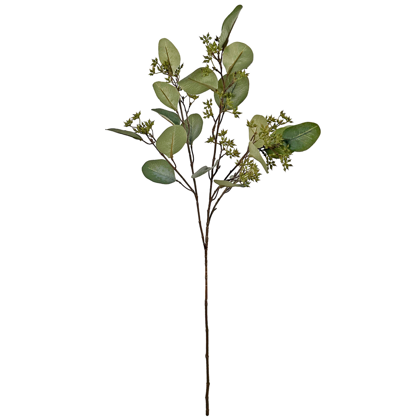 Eucalyptus Zweig, 75cm