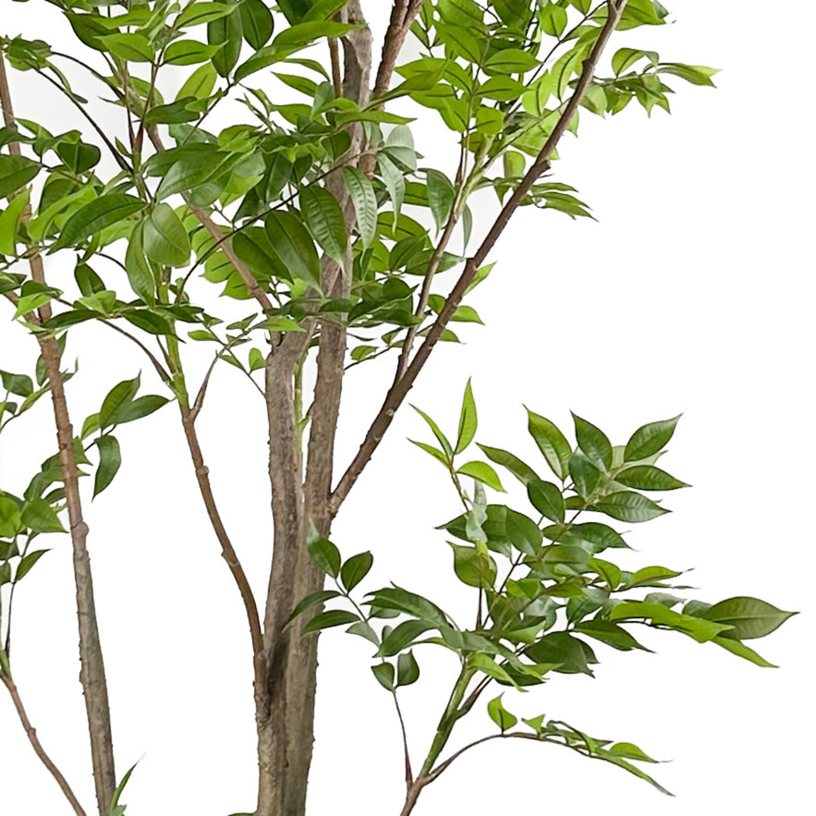 Kunstpflanze Baum 80x250cm