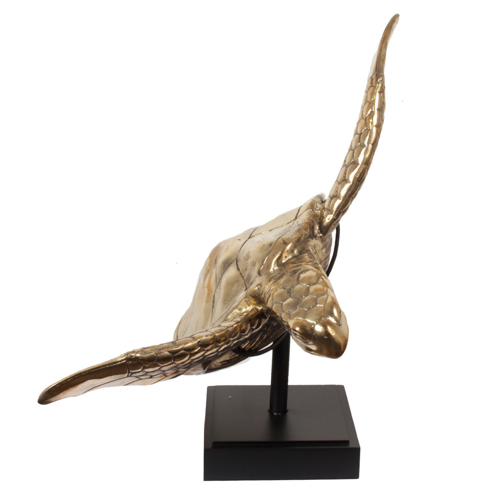 Meeresschildkröte Figur Messing gold, 80x75xH73cm