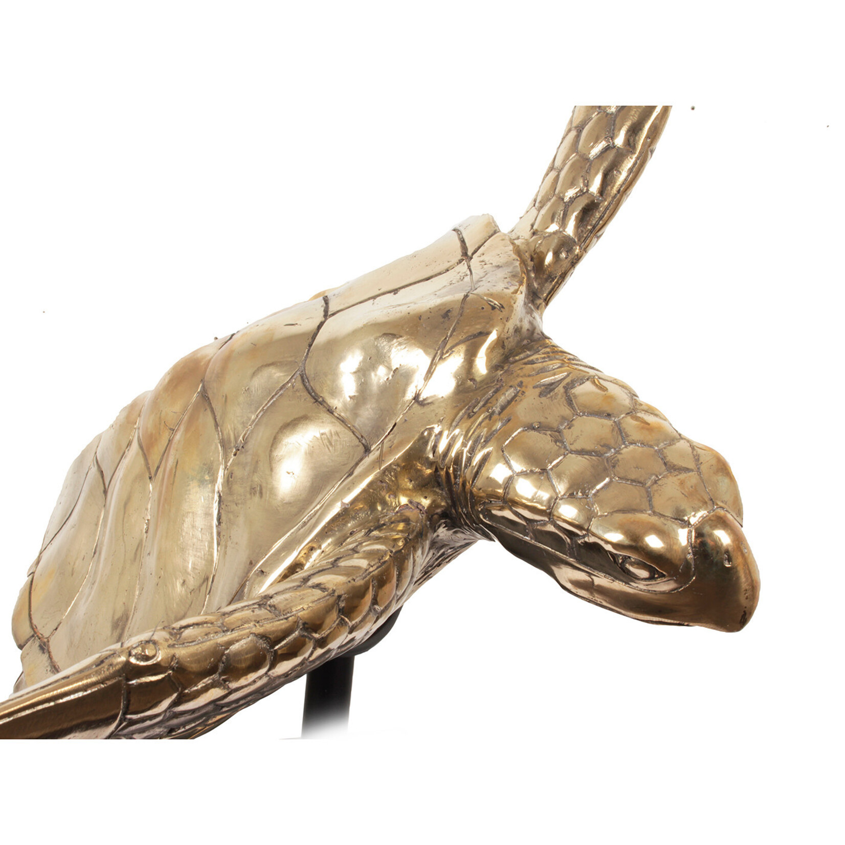 Meeresschildkröte Figur Messing gold, 80x75xH73cm