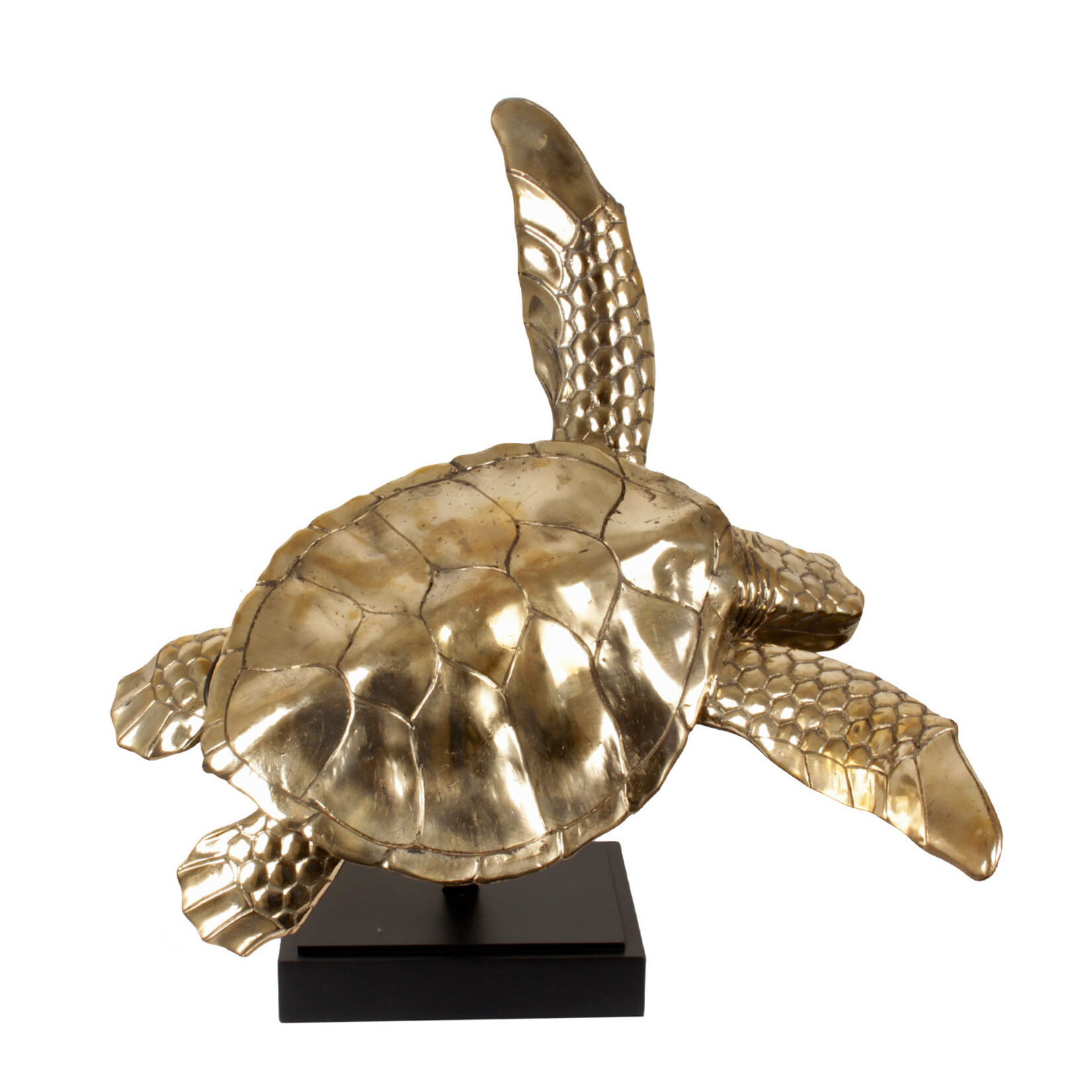Meeresschildkröte Figur Messing gold, 80x75xH73cm