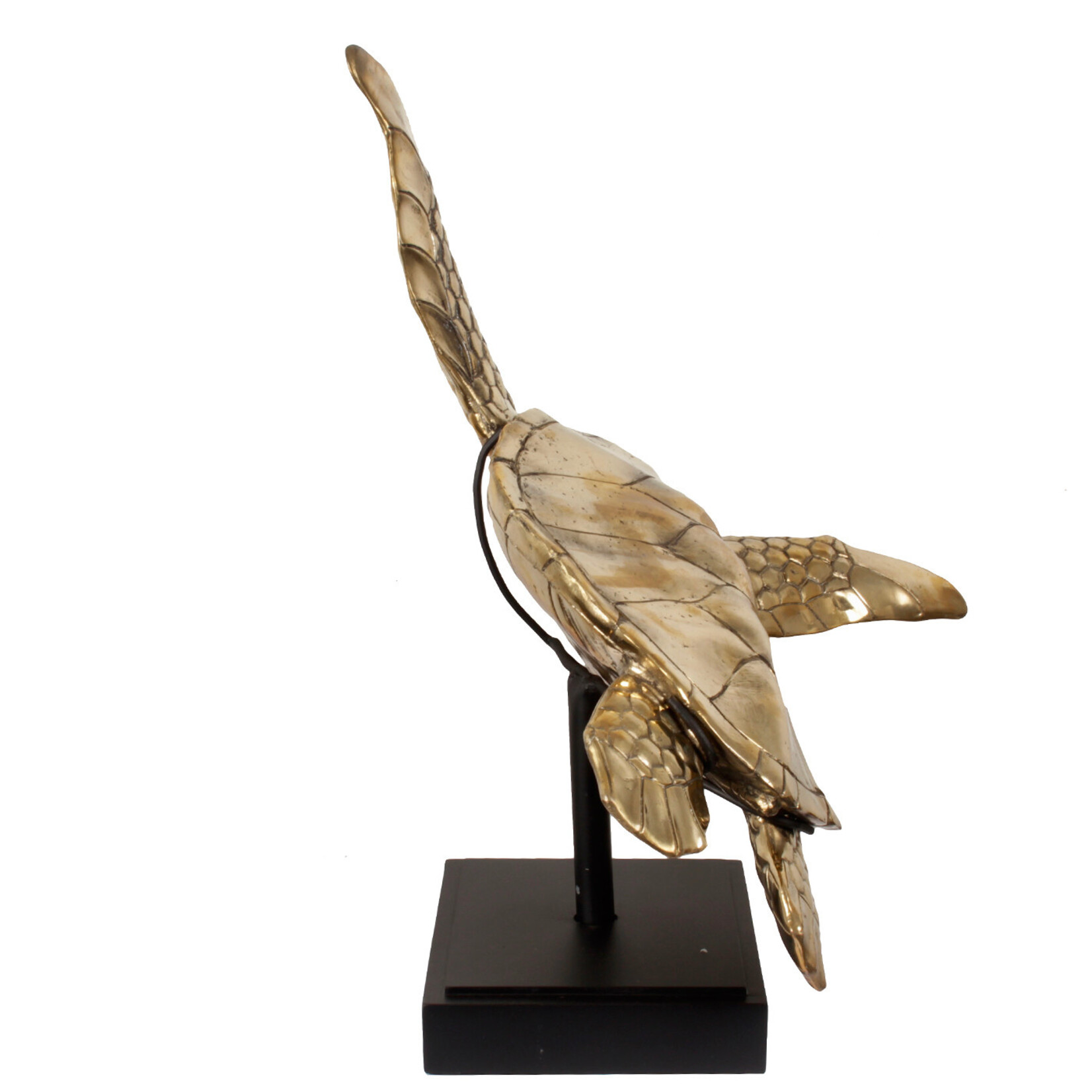 Meeresschildkröte Figur Messing gold, 80x75xH73cm