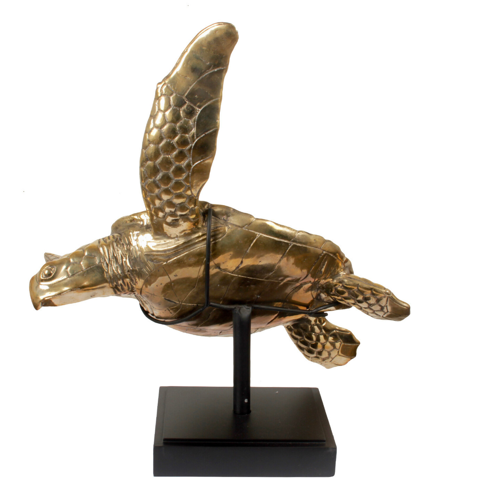 Meeresschildkröte Figur Messing gold, 80x75xH73cm