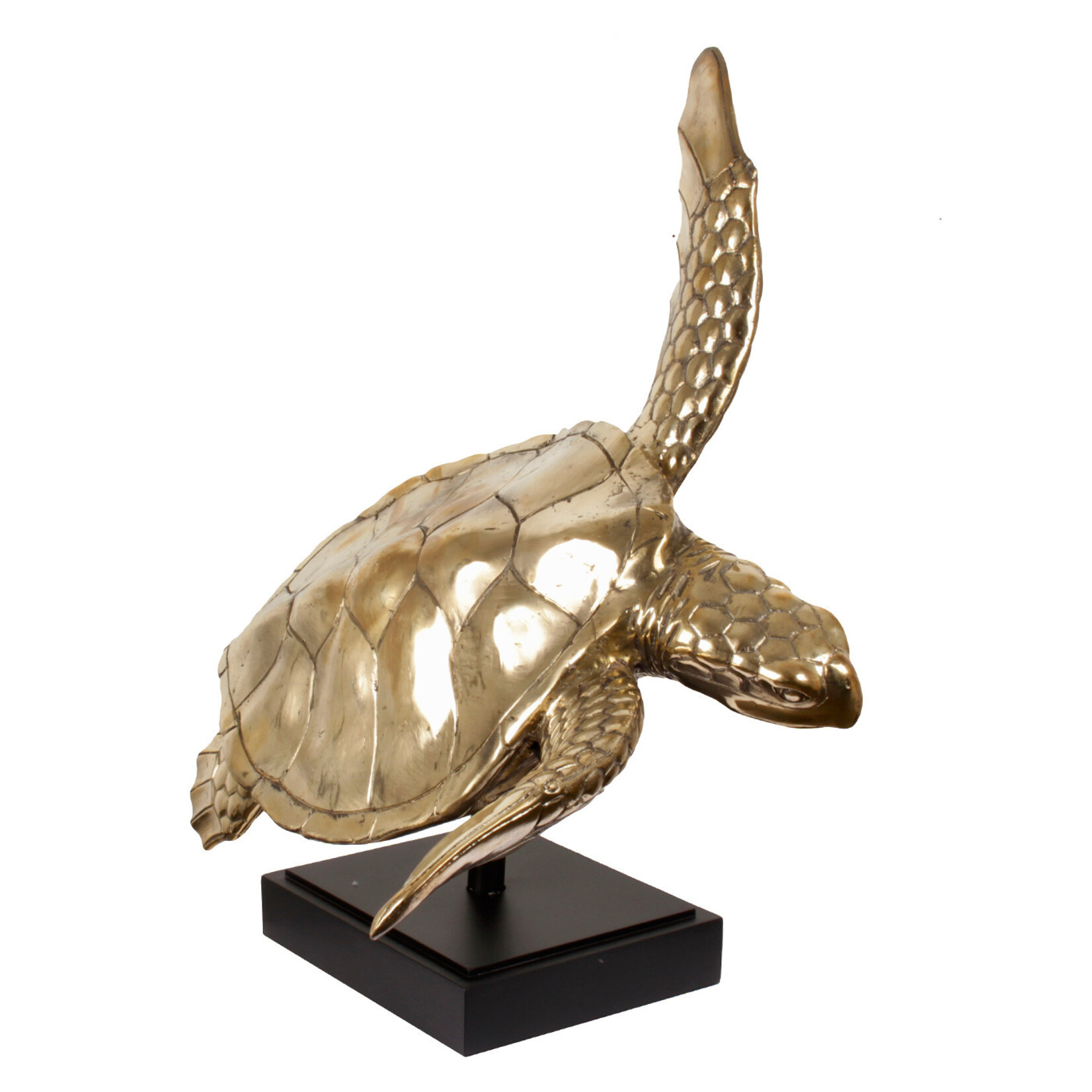 Meeresschildkröte Figur Messing gold, 80x75xH73cm