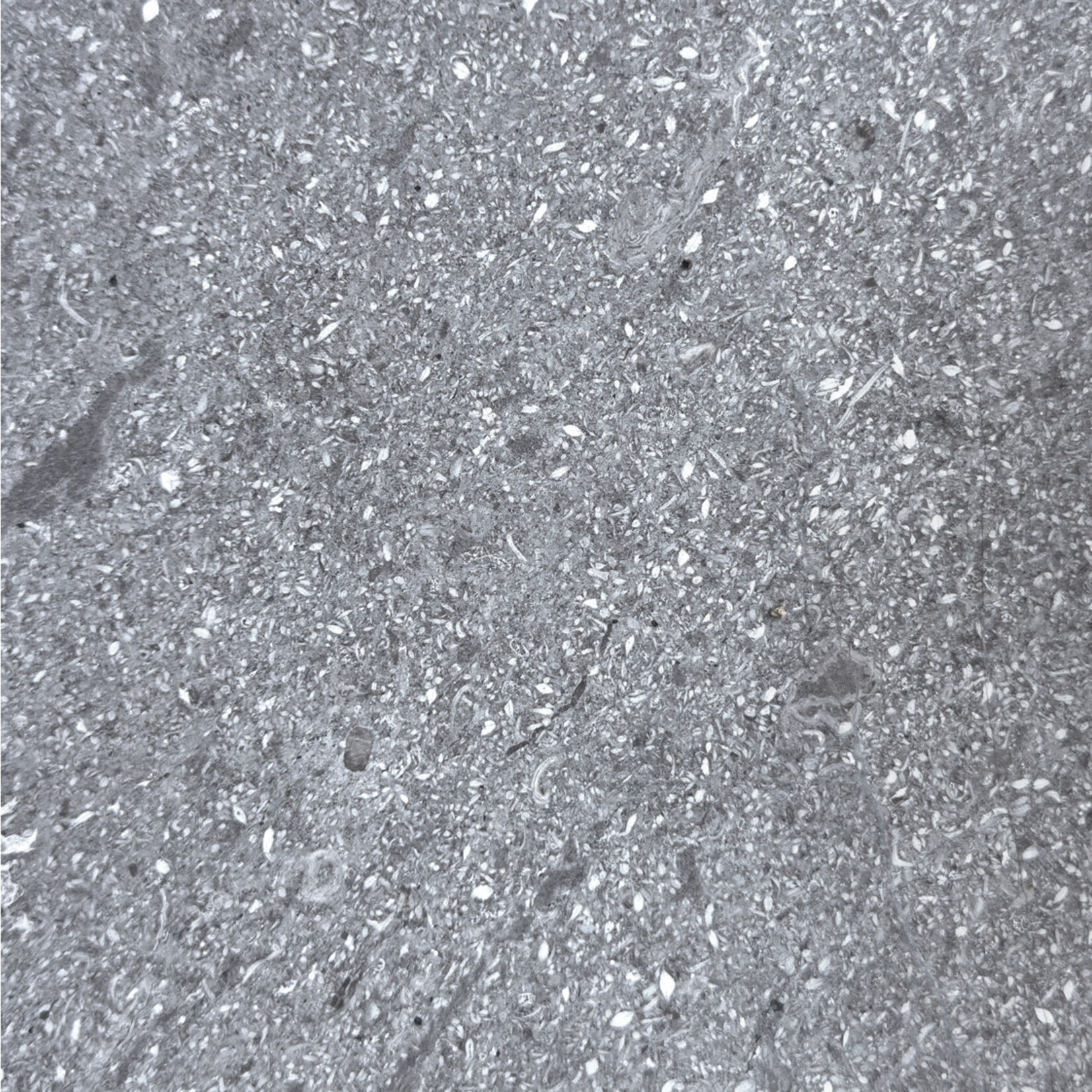 Lewiston Salontisch grau, 80x80xH35cm