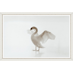 Bild White Beauty 120x80cm