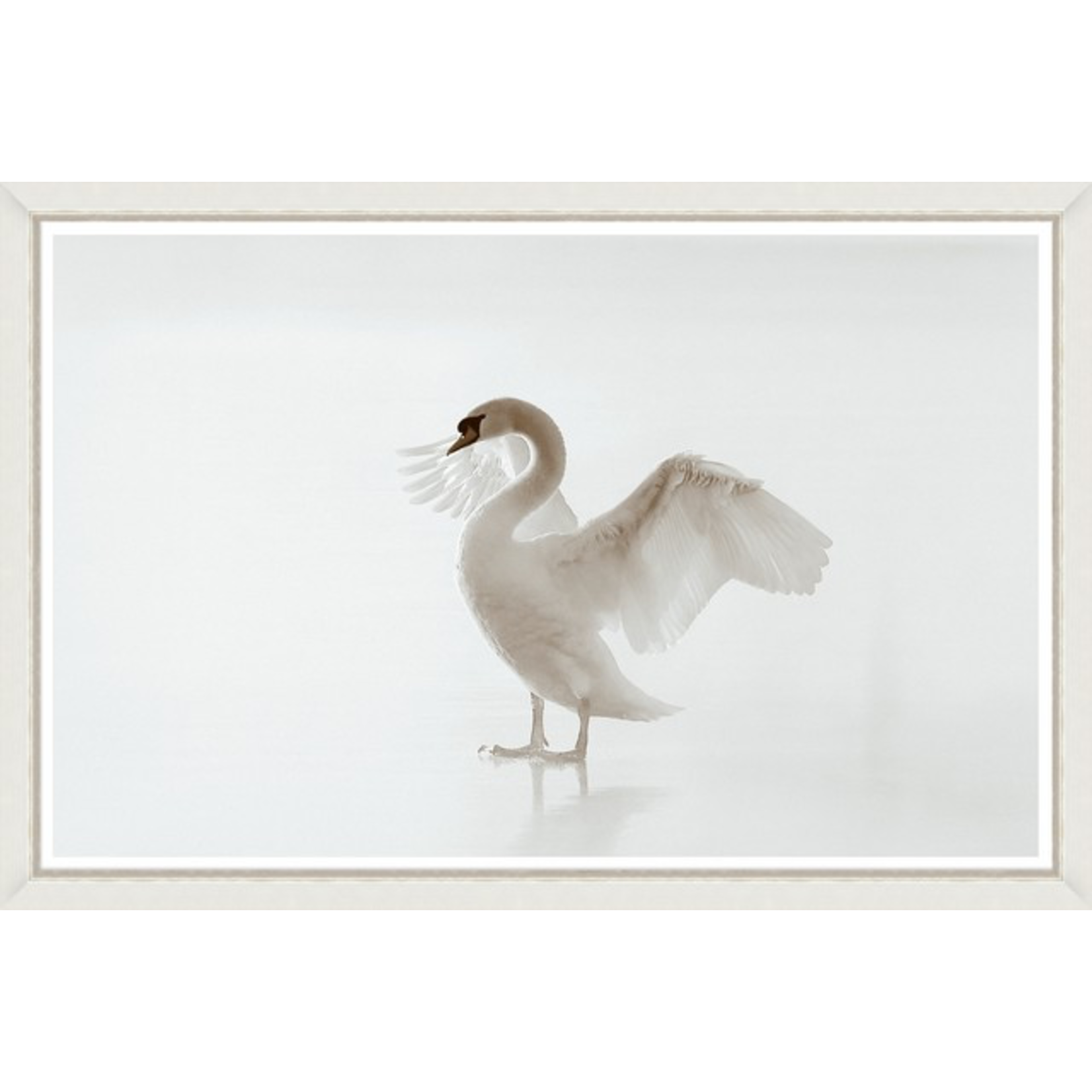 Bild White Beauty 120x80cm