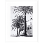 Bild Palmier B&WI  75x95cm