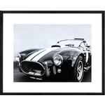 Bild Black Cobra, 105x85cm, Rahmen schwarz