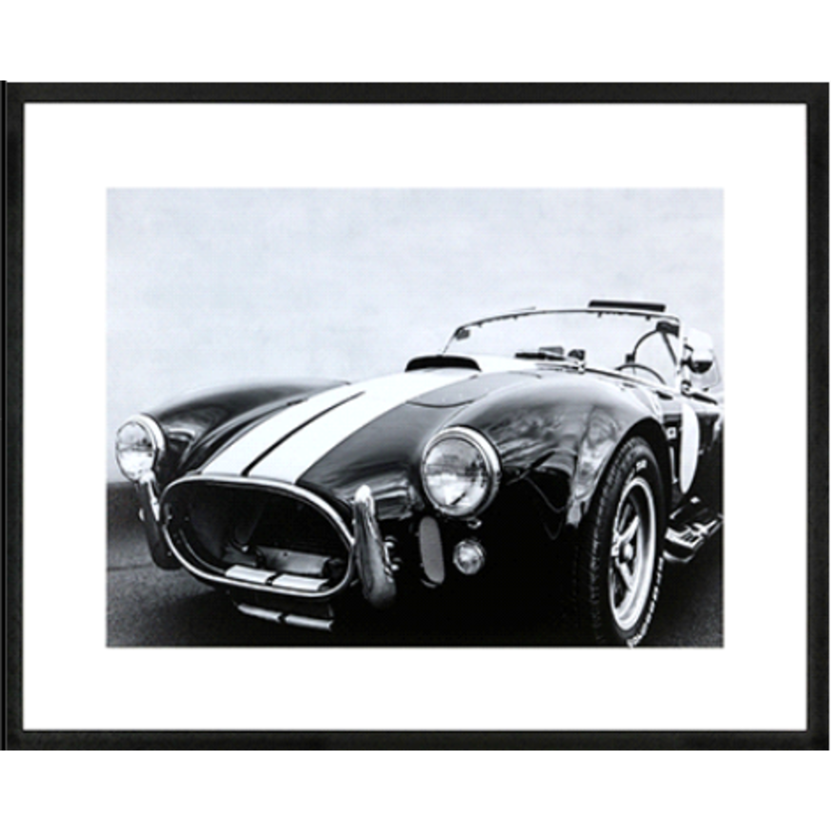 Bild Black Cobra, 105x85cm, Rahmen schwarz