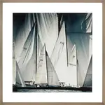 Bild Segelregatte Saint Tropez 80xH80cm Rahmen taupe