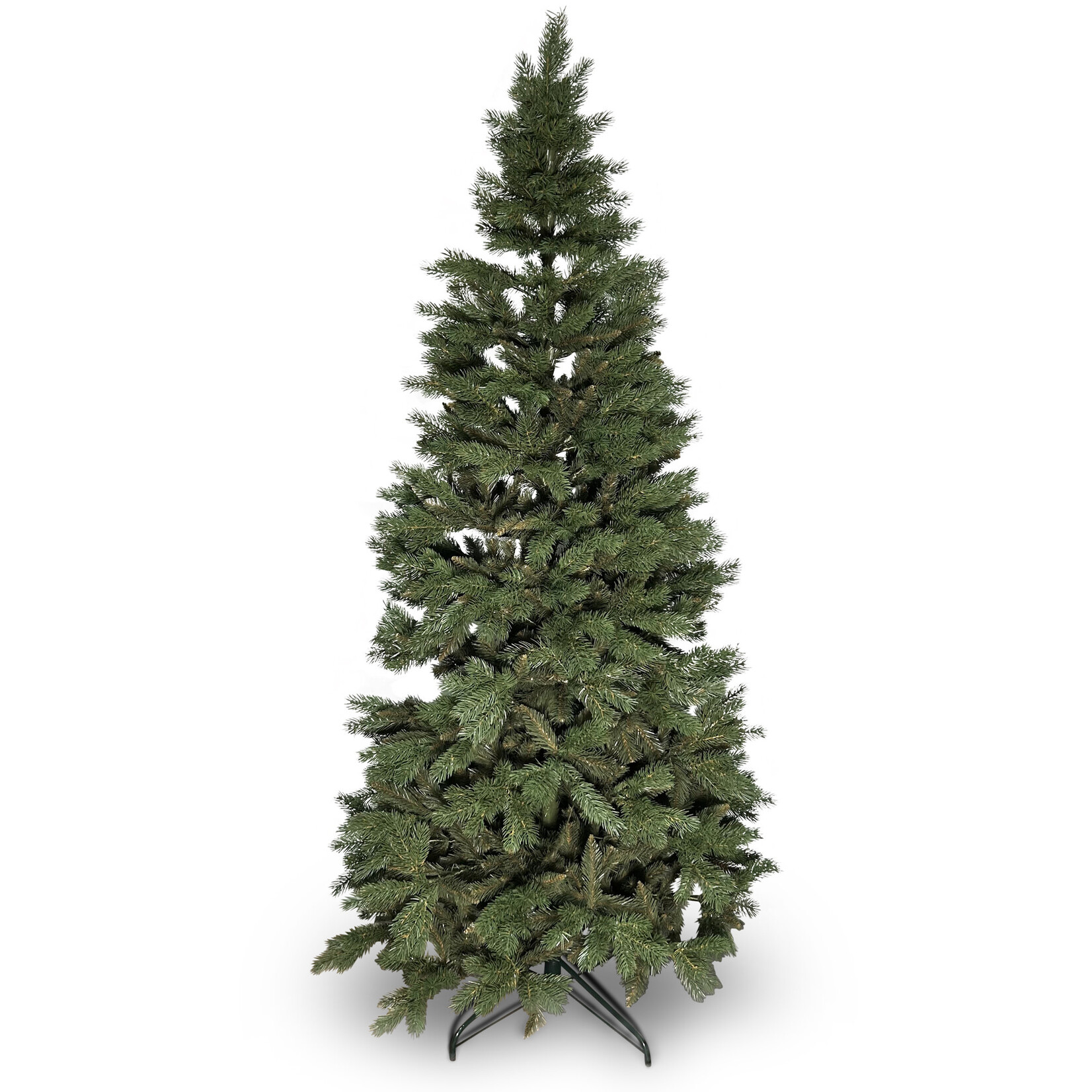 Tannenbaum Alpina 250cm, Pinie