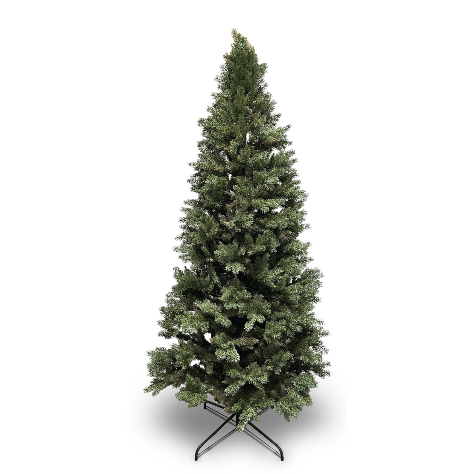 Tannenbaum Alpina 220cm, Pinie