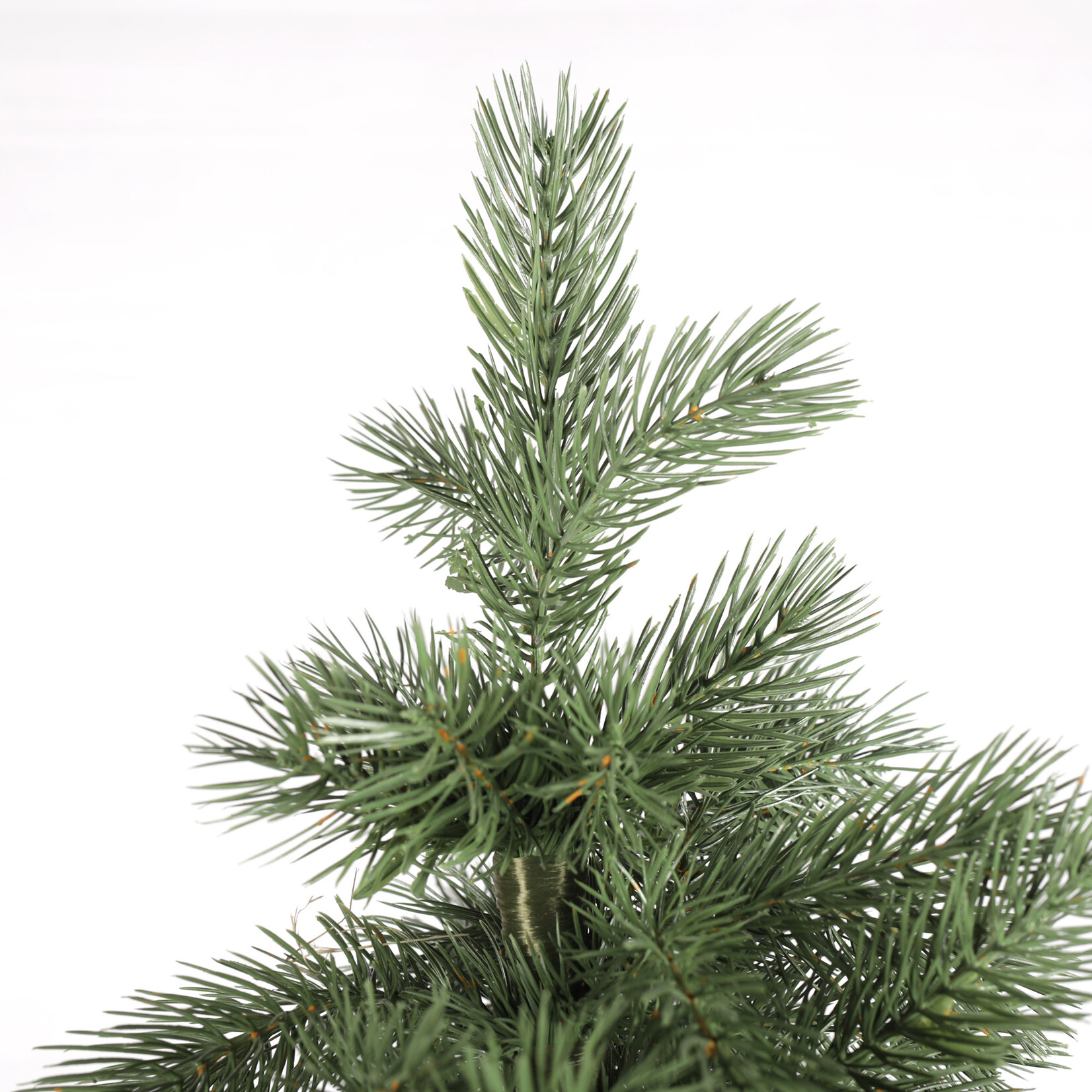 Tannenbaum Alpina 180cm, Pinie