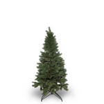 Tannenbaum Alpina 150cm, Pinie
