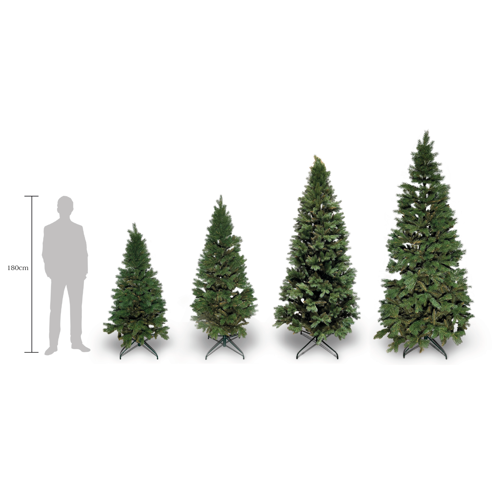 Tannenbaum Alpina 180cm, Pinie