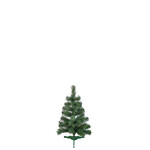 Tannenbaum Alpina 60cm, Pinie