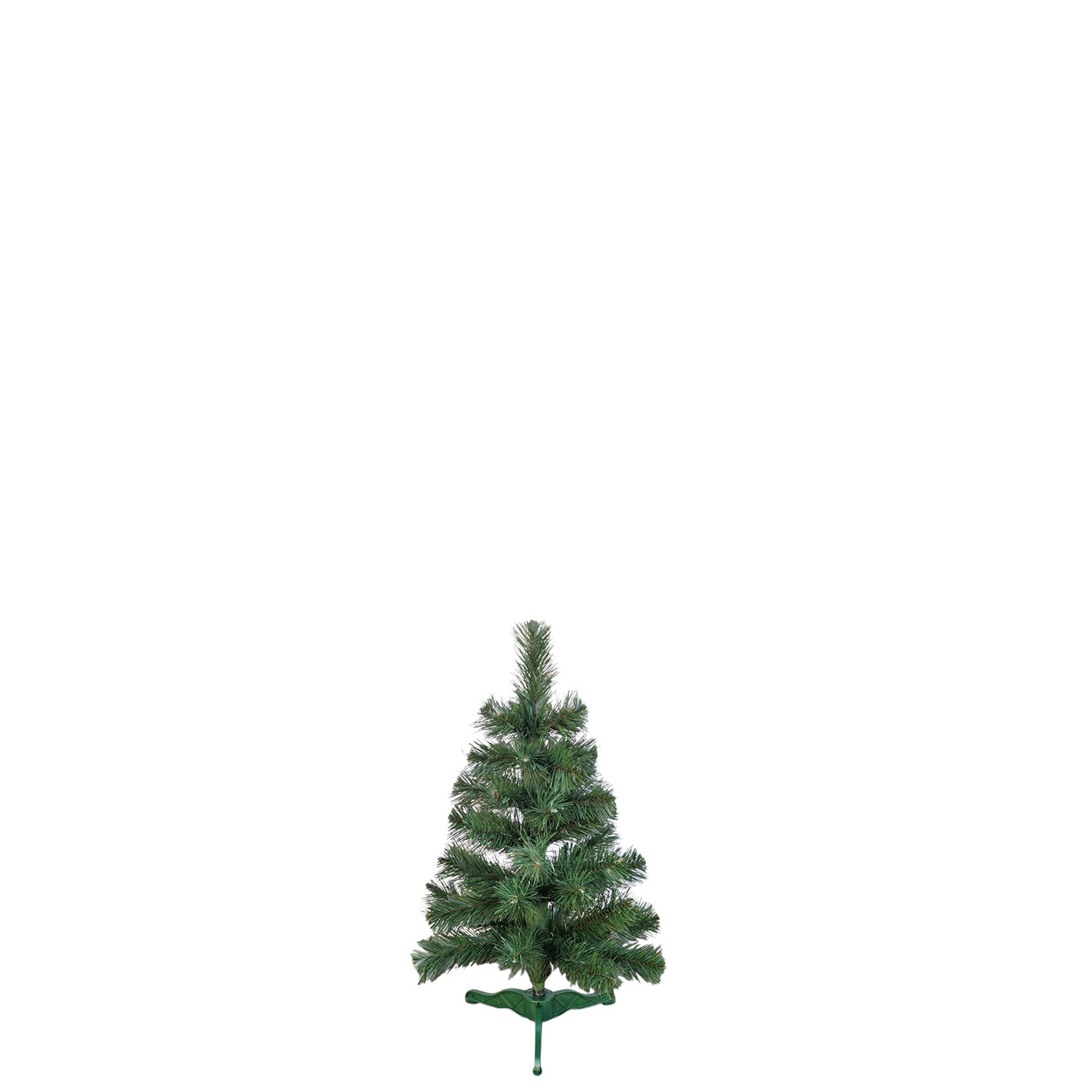 Tannenbaum Alpina 60cm, Pinie