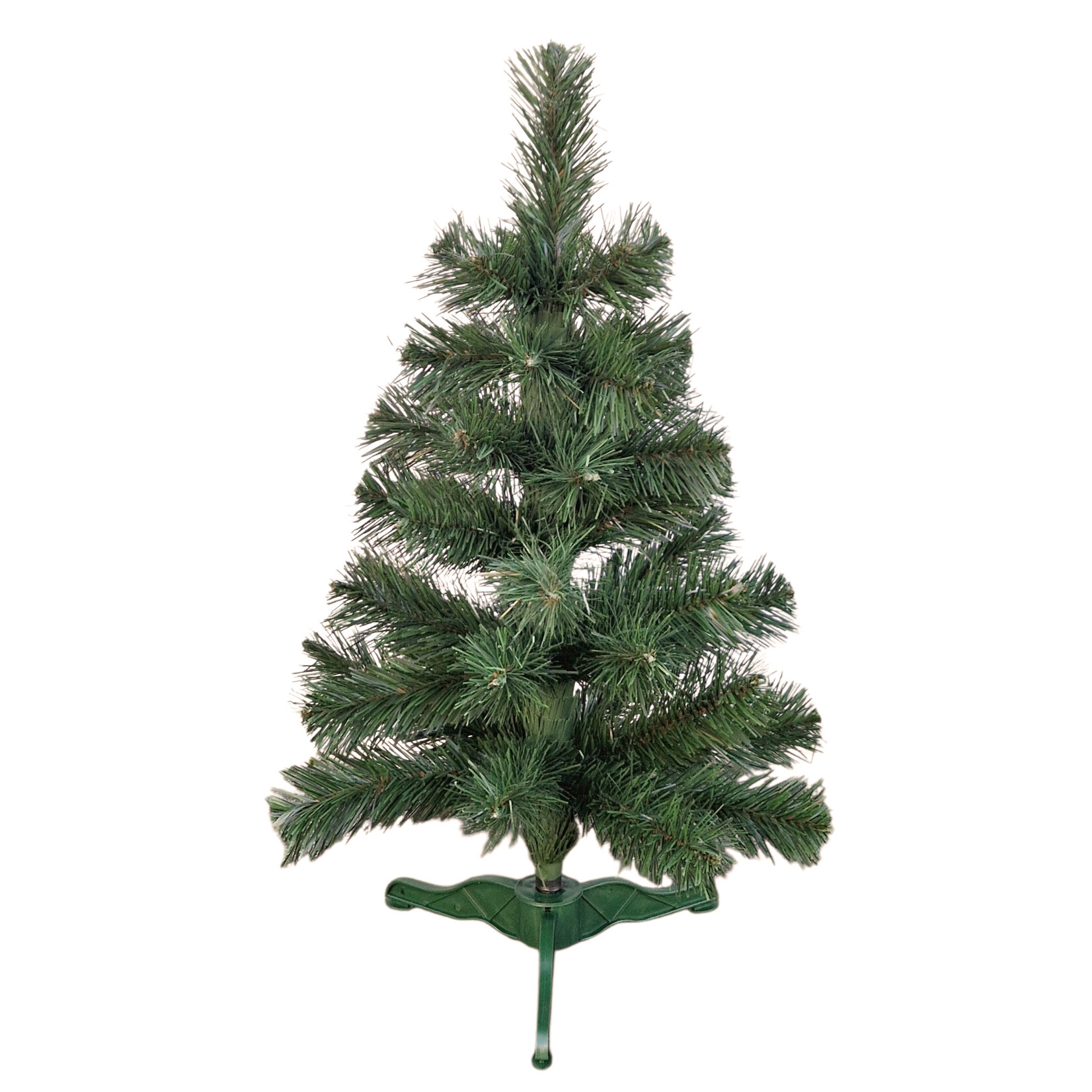 Tannenbaum Alpina 60cm, Pinie