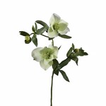 Kunstpflanze Schneerose weiss ca58cm