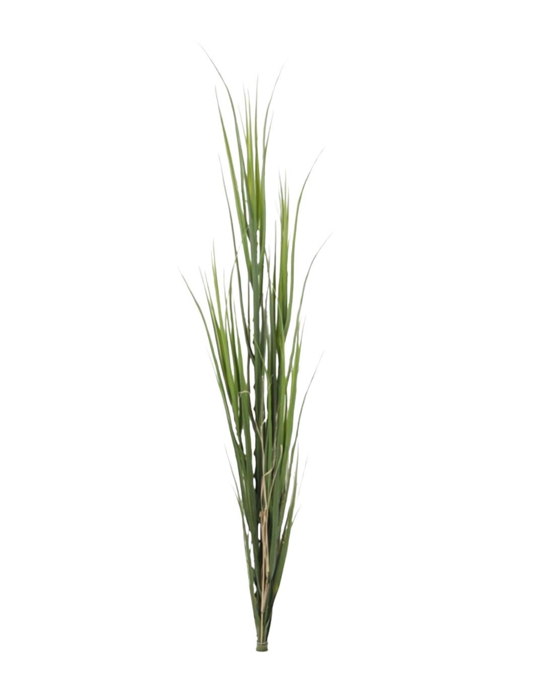 Kunstpflanze Gras Bschel 135cm - Spectroom living and more GmbH