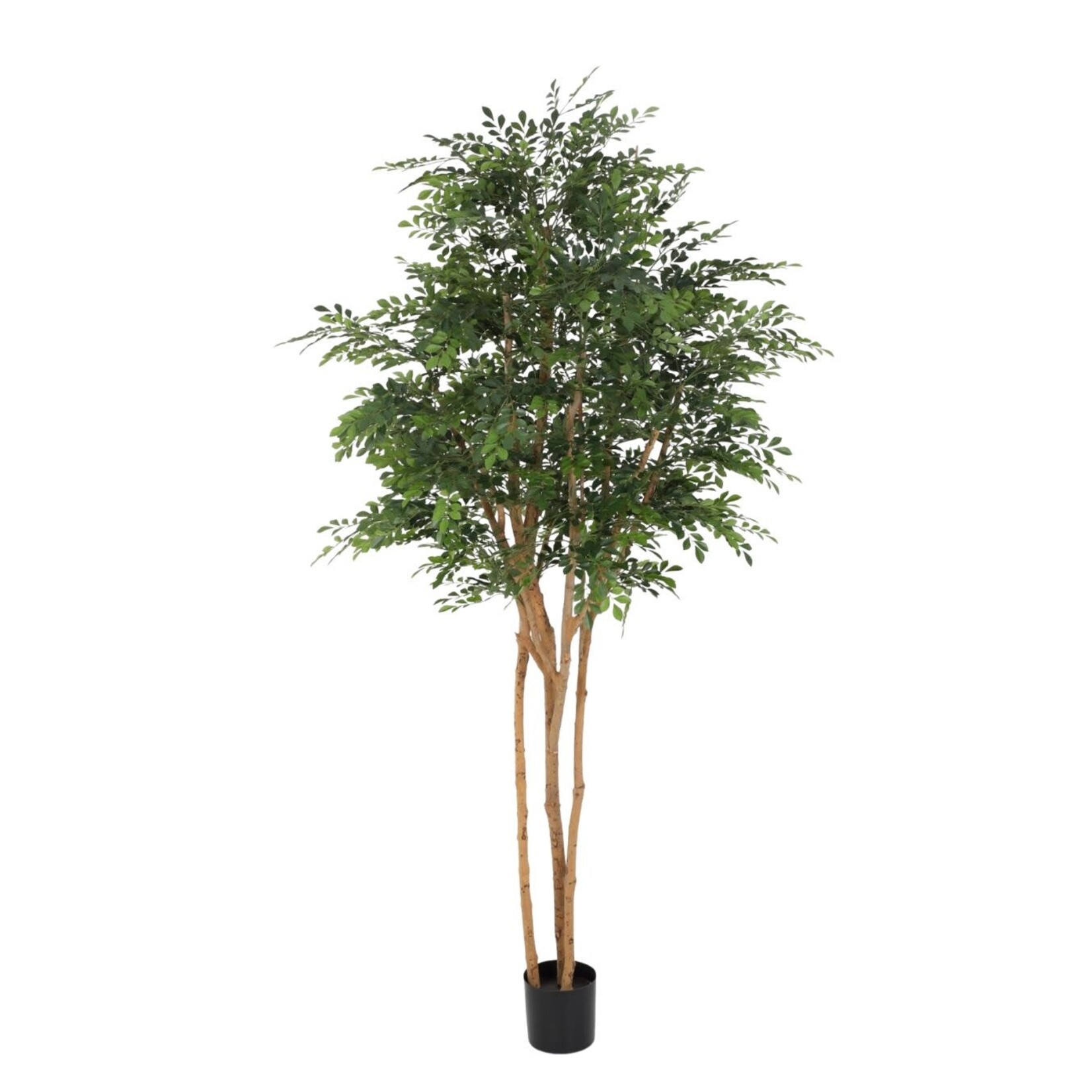 Kunstpflanze Murray Baum 245cm