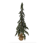 Bello Tannenbaum mit Jutensack D17xH120cm