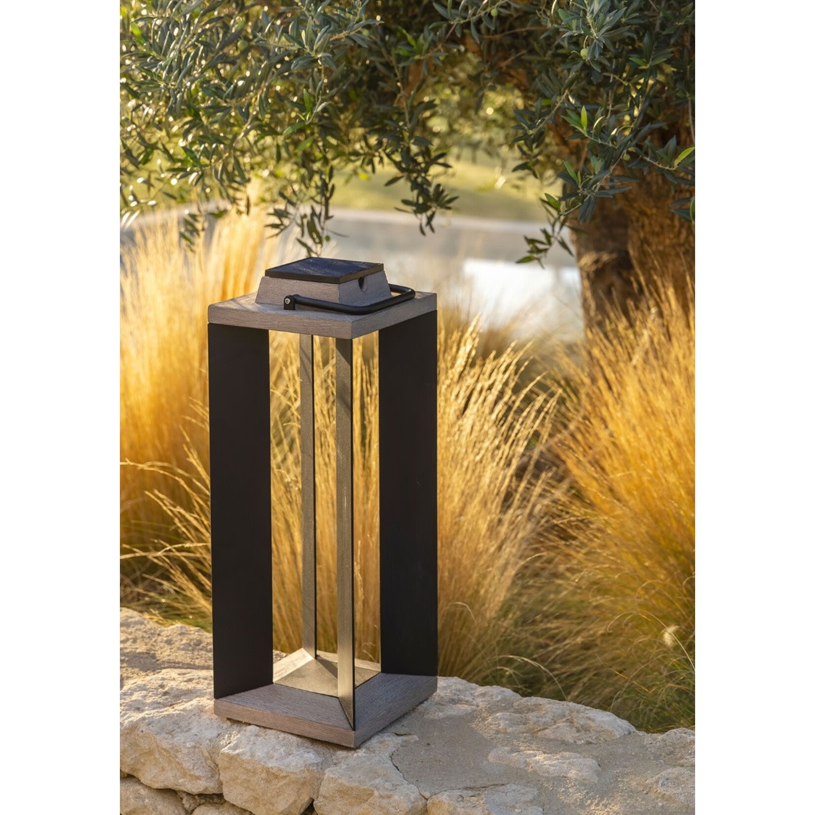 Tecka Laterne Solar M, 24x24xH63cm