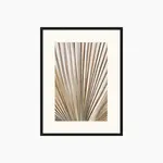 Bild Nature's Lines, gerahmt Schwarz, 100x140cm
