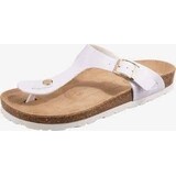 Rohde Slipper Rohde Slipper