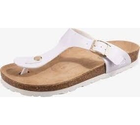 Rohde Slipper Rohde Slipper