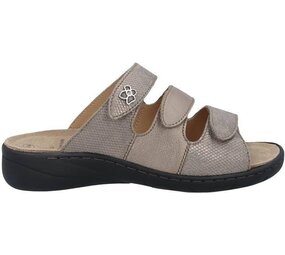 Solidus solidus slipper 20141