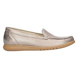 Waldlaufer Waldlaufer instapper