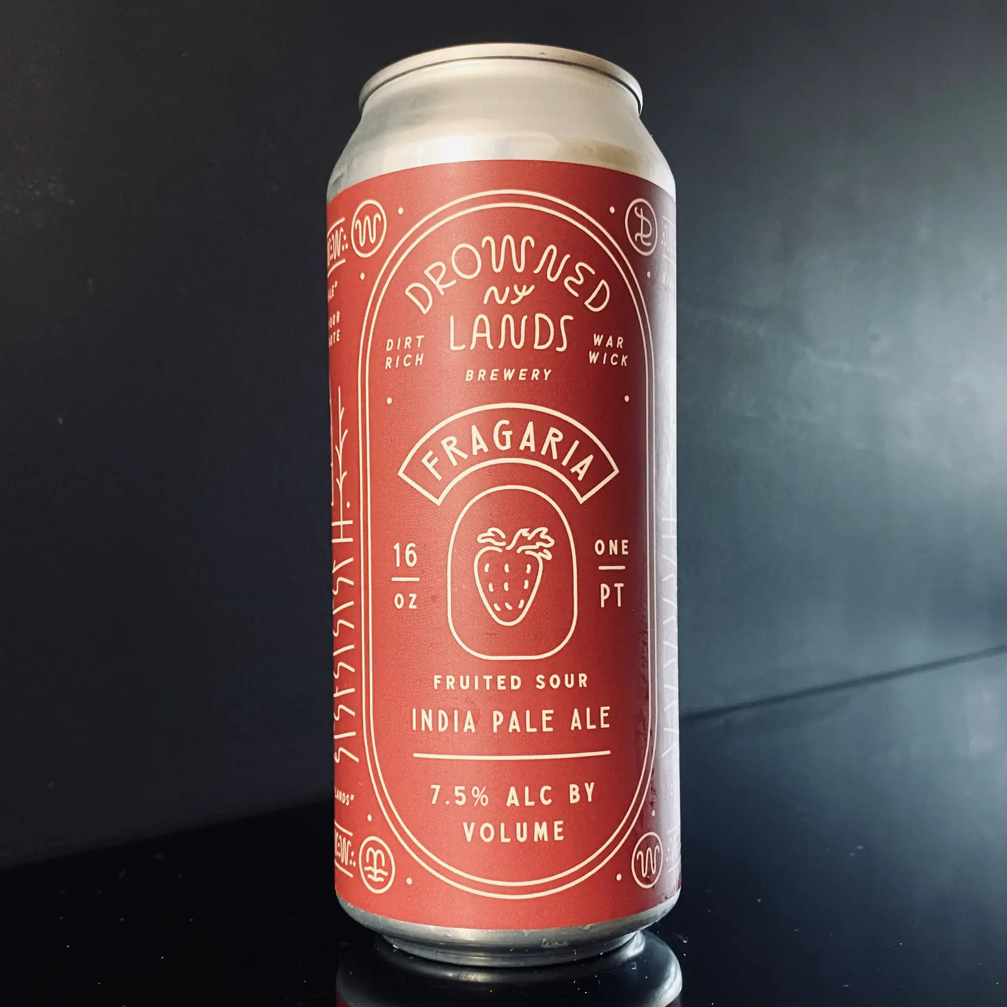 The Drowned Lands Fragaria 47.3cl Hops 'N More