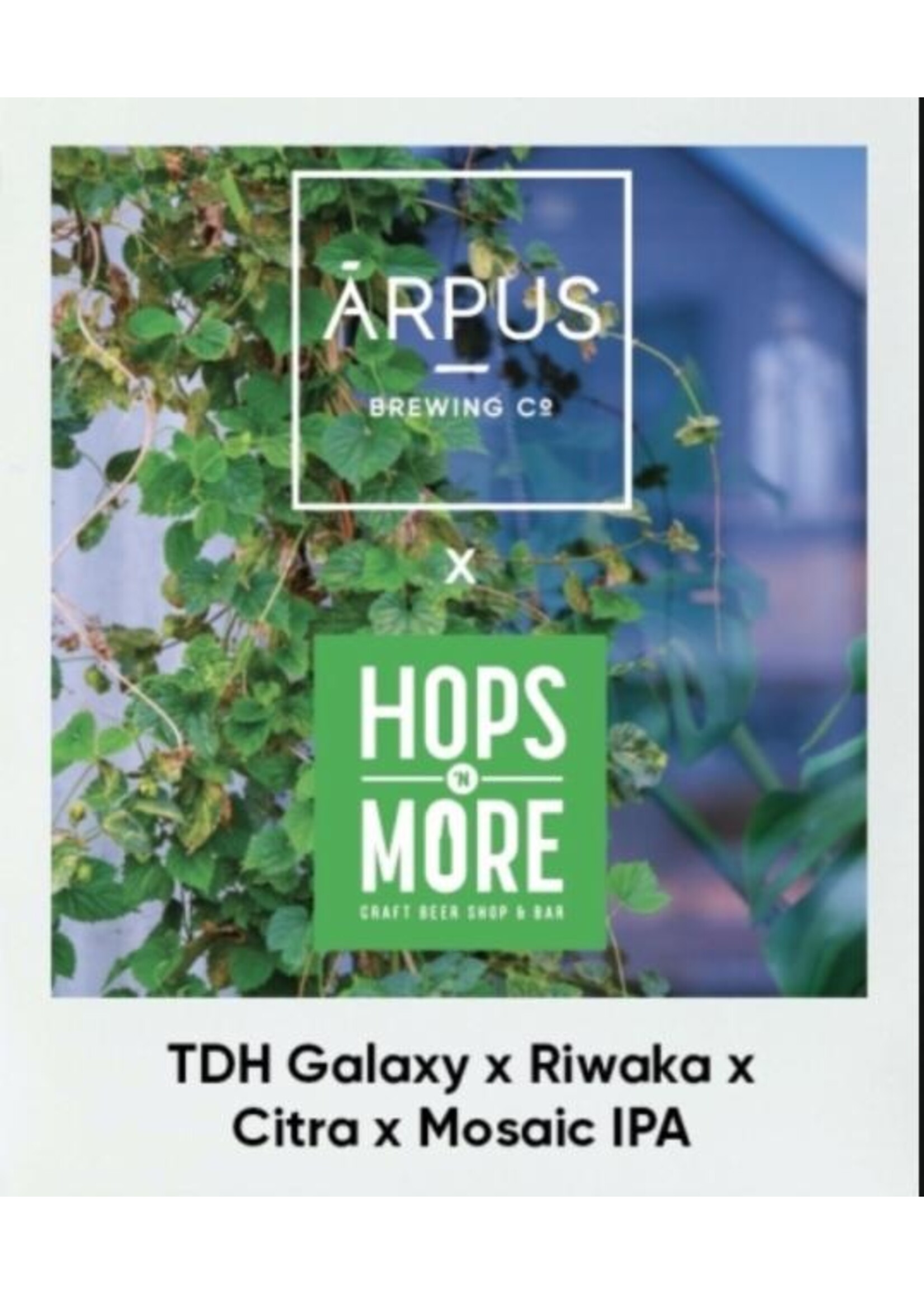 Arpus Arpus - TDH Galaxy x Riwaka x Citra x Mosaic 5 years Hops N More IPA - 44cl