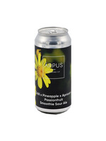 Arpus Arpus - Chilli x Pineapple x Apricot x Passionfruit Smoothie Sour Ale - 44cl