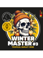 Brouwerij De Meester Brouwerij De Meester - Winter Master #03 - 33cl