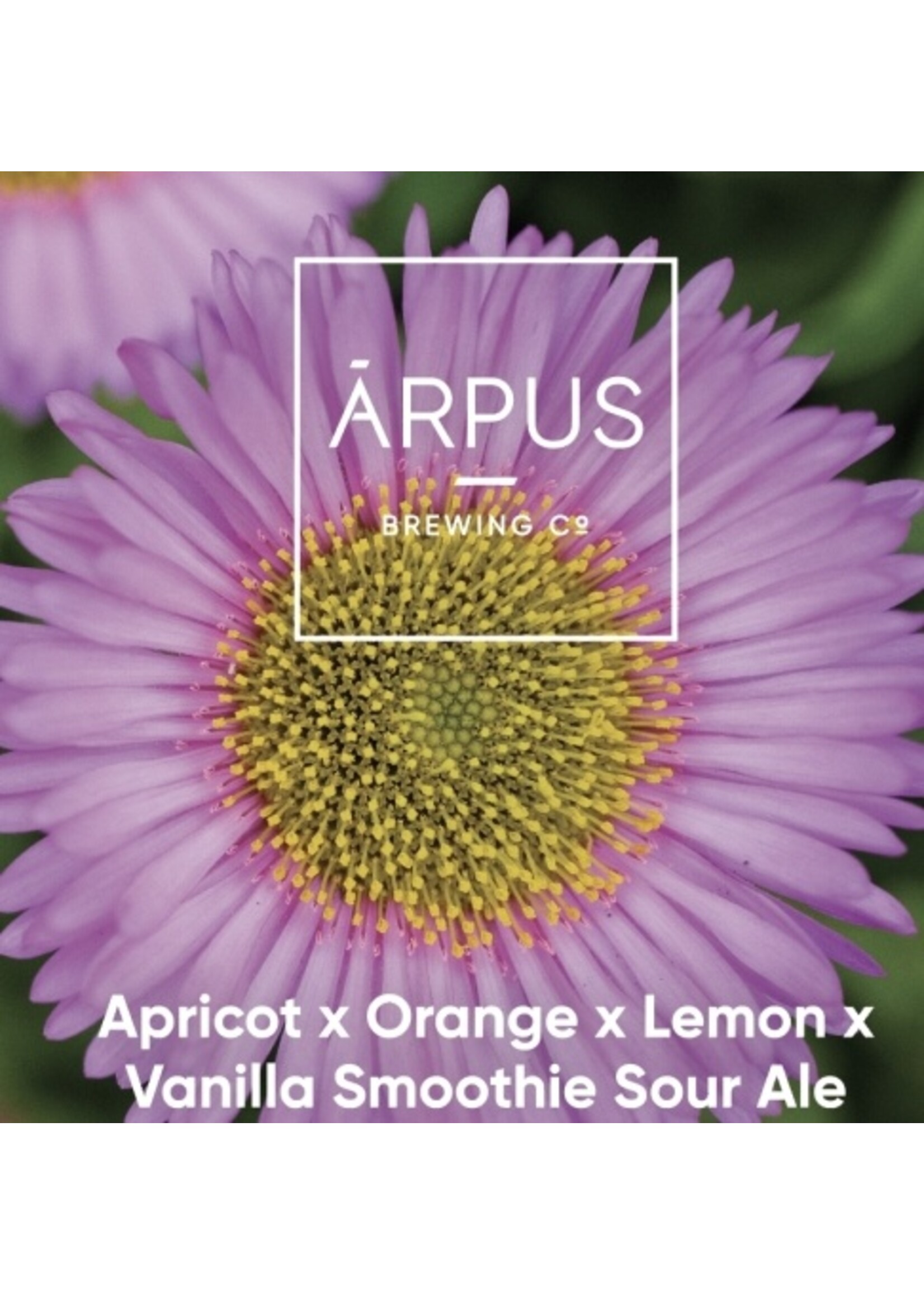 Arpus Arpus - Apricot x Orange x Lemon x Vanilla Smoothie Sour Ale  - 44cl