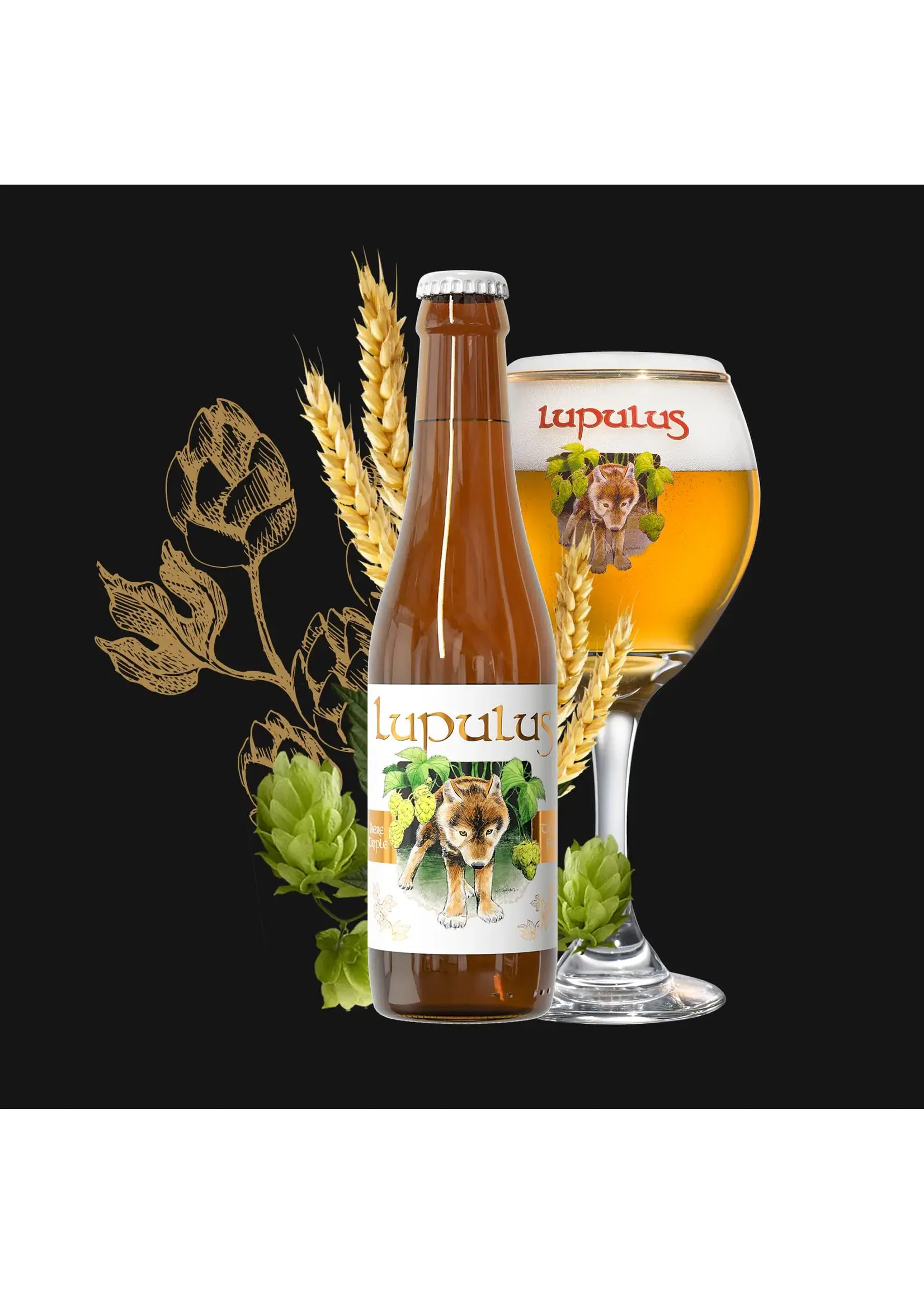 Lupulus Lupulus - Blonde Triple - 33cl