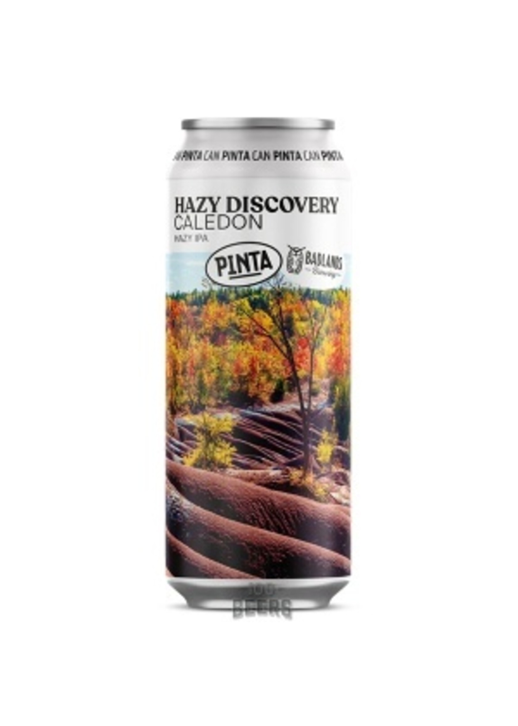 Pinta Pinta - Hazy Discovery Caledon  - 50cl