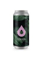 Pollys Polly's Brew - Citra Vista - 44cl